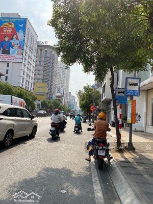 bán nhà nam kỳ khởi nghĩa q3 60m2 4pn giá 12,8 tỷ chính chủ