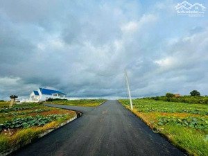 bán đất view hồ phúc thọ 618m có 200m thổ cư mặt tiền nhựa giá chỉ 1,5 tỷ, gần mọi tiện ích