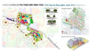 tư vấn đấu giá hà hương - thư lâm (xã liên hà cũ) 