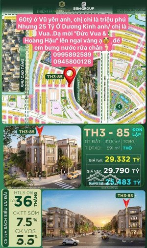 th3-85 .311,5m=25tỷ =82tr/m vin dương kinh