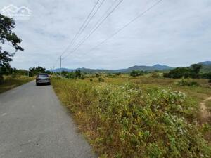 CHÍNH CHỦ CẦN BÁN GẤP LÔ ĐẤT RỘNG MẶT TIỀN ĐƯỜNG NHỰA NGAY XÃ SÔNG LŨY, BẮC BÌNH, BÌNH THUẬN