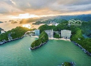 sốc 2,05 tỉ căn flamingo cát bà 45m2 view biển ban công rộng lợi nhuận ngay