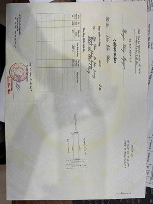 bán lô đất tại tân dương, phường thủy nguyên. diện tích 100m2. kinh doanh buôn bán cực tốt.