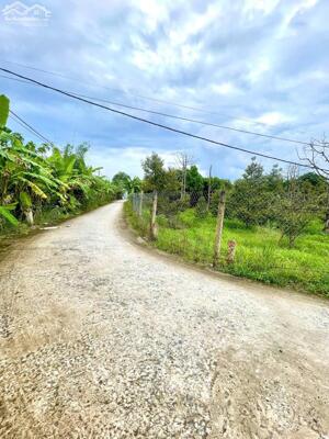  CÒN 04 NỀN LIỀN KỀ CẠNH ĐẠI HỌC NAM CẦN THƠ 4,2X18,5M, LỘ 4M, THỔ CƯ FULL GIÁ 1 TỶ 50TR.