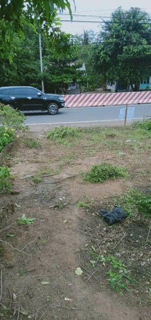 bán đất tại đt 744, 3,999 tỷ, 992 m2, dầu tiếng, bình dương