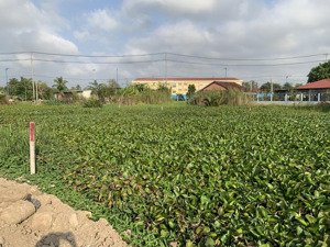 bán đất mặt tiền đường lê phước thọ cạnh siêu thị aeon mall, diện tích: 26,5m x 93m giá rẻ nhất khu