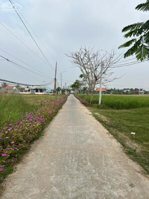 Đất thổ cư 160m2 mt xe hơi xã Tân Lân giá rẻ 720tr