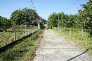 khu nghỉ dưỡng view núi tại suối cát, xuân lộc, dt: 7541 m2, gía 600tr/1 sào