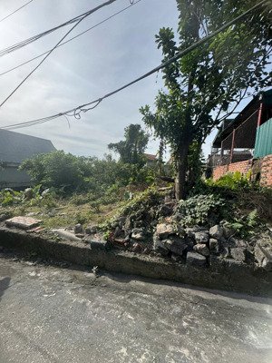 ngân hàng thanh lý 283,6m2 đất tại cẩm phú, cẩm phả, quảng ninh (mặt tiền 14m).