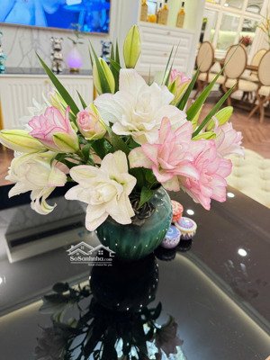 bán căn 3 ngủ 95m2 giá 8,5tỷ, chung cư ct3 cực vip, ngõ 34 hoàng cầu, một bước ra hồ hoàng cầu