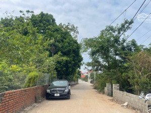 chính chủ gửi bán 100 m đất thuộc ab quán trạch, cách 1 nhà ra trục chính