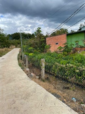 chủ thiện chí, cần bán lô đất thổ cư tại xã suối cao, huyện xuân lộc, tỉnh đồng nai giá cực mềm