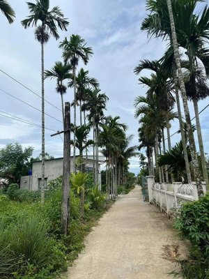 bán đất 125m2 gần nam phước, gần hội an, giá siêu hời 570 triệu tại quế xuân 1, quế sơn, quảng nam