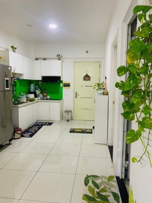 cho thuê căn hộ chung cư chính chủ vị trí phan văn hớn, quận 12, hcm