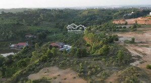 gần 8ha dự án sản xuất gỗ tại phú thọ, đường xung quanh chỉ 50 tỷ. pháp lý đầy đủ sẵn xây dựng ngay