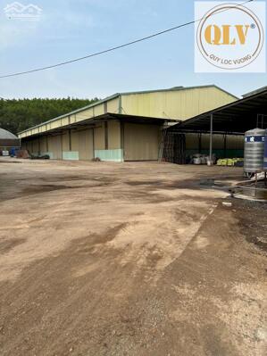 CHO THUÊ ĐẤT VÀ NHÀ XƯỞNG VĨNH TÂN, VĨNH CỬU, ĐỒNG NAI 5.000m2