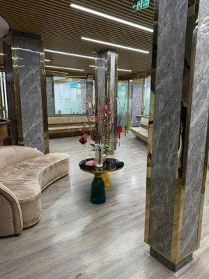 khủng long mặt phố mỹ đình - 160mx8tầngxmt24m - nội thất nhập khẩu - giá nào cũng bán 