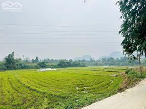  BÁN ĐẤT VIEW CÁNH ĐỒNG – NÚI NON – GIÁ 1,3 TỶ