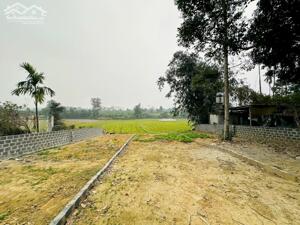  BÁN ĐẤT VIEW CÁNH ĐỒNG – NÚI NON – GIÁ 1,3 TỶ