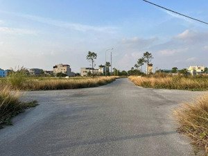 bán đất 81m2 tại đình tổ, thuận thành, bắc ninh, 46 triệu / m2