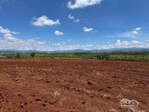 bán đất rẻ vùng ven tân hội - lâm đồng