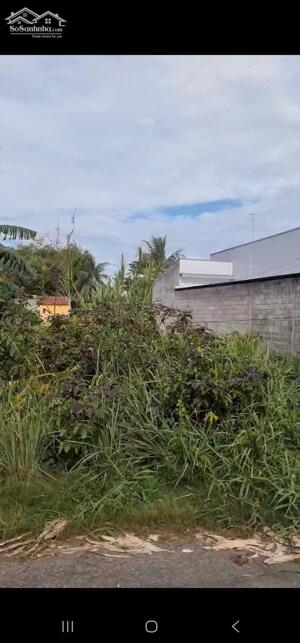 Đất thổ cư 313m2 mặt tiền Phước Toàn gần QL1A (cách chợ Bình Chánh 6km)