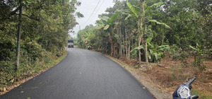 hạ giá bán rẻ trước tết 145m2 mặt đường, hơn 9 sào phủ hồng