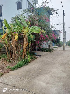 lô góc dịch vụ lại yên 40m đường 10m vỉa hè 2m