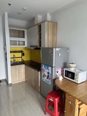 sốc: miễn phí tiền thuê tháng tết. chính chủ cho thuê căn 2pn bcons plaza