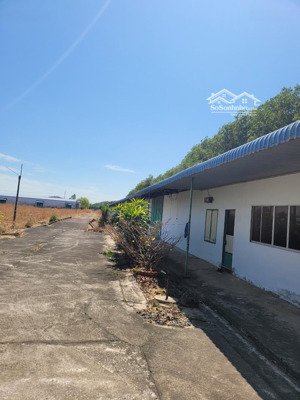 bán đất tại tân mỹ, tân thuận tây, quận 7, hcm, giá tốt 140 tỷ, 560m2, làm việc chính chủ