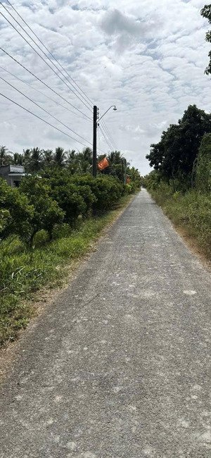 bán đất 1400m2 ấp chợ, phước hưng, trà cú, trà vinh