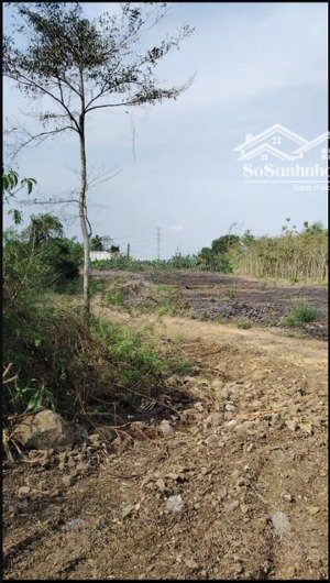 bán 22.000m2 đất nông nghiệp bàu hàm giảm sâu 30%