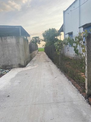 em cần bán đất thổ cư tại xuân phú, đồng nai, cách ql1a chỉ 400m giá ngộp,thiện chí mua cứ trả giá