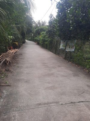 ngang 15m dài 26m mặt tiền đường oto 3,5m long khánh cai lậy