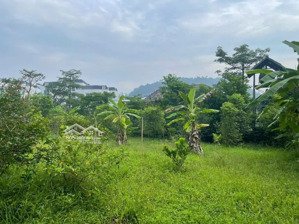 đất trung tâm hòa lạc giá rơi tự do