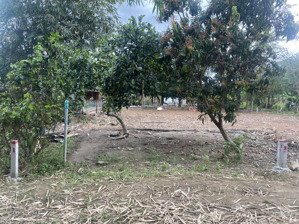 đất thổ cư khánh hiệp - khánh vĩnh giá cực rẻ chỉ 230 triệu sẵn sổ đỏ sang