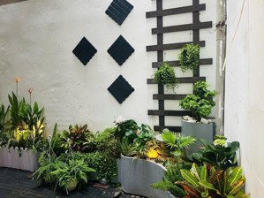 siêu phẩm nguyễn xiển. phân lô. ô tô cạnh nhà. lô góc 3 thoáng. 6t thang máy. ở ngay. chỉ 12,8 tỷ