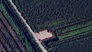 bán đất ở tại xã bình hòa nam, đức huệ, long an (cũ), 120 triệu, 300m2