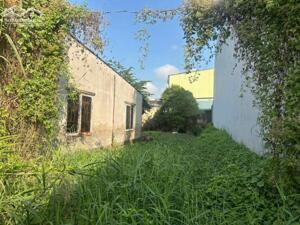 Bán đất thổ cư mặt tiền tỉnh lộ 835D , xã Long Hòa, Cần Đước dt 200m2 giá 2,05 tỷ