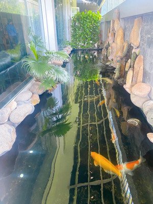 cần bán lô đất 6*24, giá 11.5 tỉ, đất ngay liên phường gần global city. lh 