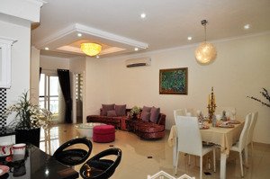 cho thuê cc phúc yên, 9.5 triệu vnd, 90m2, 2pn, 2wc,ntcb chính chủ, tân bình, hcm