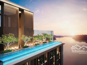 cành mai vàng gieo lộc đầu năm! ưu đãi cực lớn khi mua dự án căn sát biển