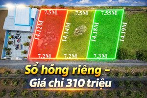 bán đất 100.4m2, 310 triệu, xã gia thuận, huyện gò công đông, tiền giang