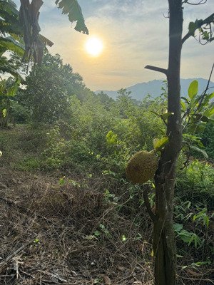 siêu phẩm lô đất cln, phúc yên, vĩnh phúc.