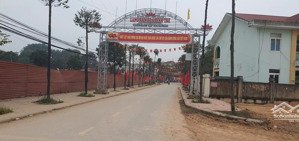 lúa non chủ cần tiền bán gấp 2 lô đấu giá lập thạch, vĩnh phúc. giá chỉ 1xtr/m