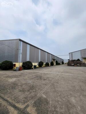 CHO THUÊ XƯỞNG TRONG KCN TÂN UYÊN BÌNH DƯƠNG (CTX214)