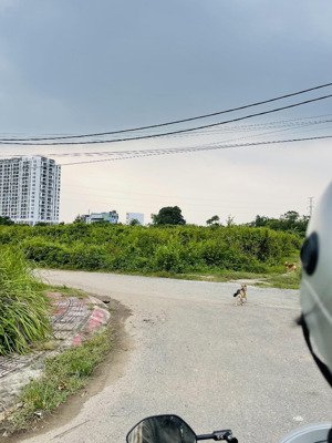 bán đất đẹp gò cát, phú hữu, quận 9 giá chỉ 4,5 tỷ!