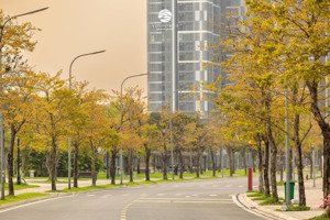 quỹ căn masteri lakeside vinhomes ocean park