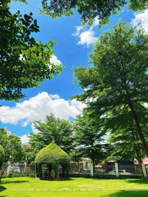 cho thuê căn hộ 68 m2, 2 pn, 2 wc, có đầy đủ nội thất, 9 tr/th, cc dream home gò vấp