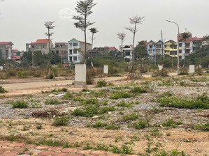 siêu phẩm đất nền kđt đại an phù khê (từ sơn)